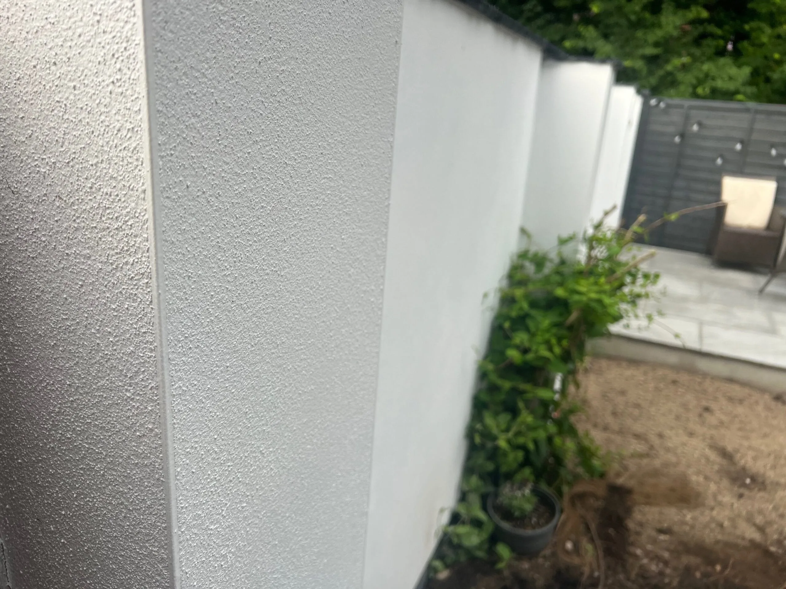 newly rendered garden wall with black coping stones and small bush growing